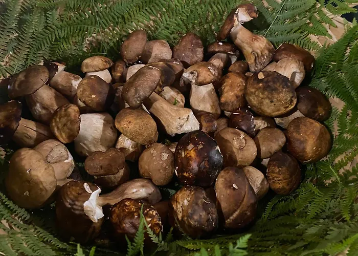 Lo Scoiattolo * Montorio al Vomano