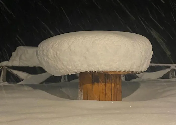 Фермерский дом Lo Scoiattolo *